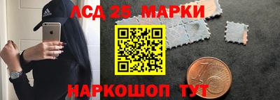 спайс Кингисепп