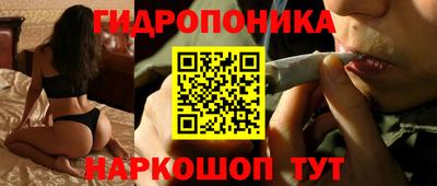 jwh Кинель