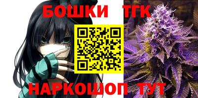 спайс Кингисепп