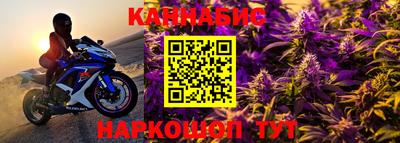 спайс Кингисепп