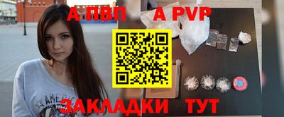 спайс Кингисепп