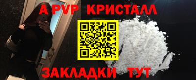 спайс Кингисепп
